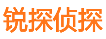 金山市私家侦探